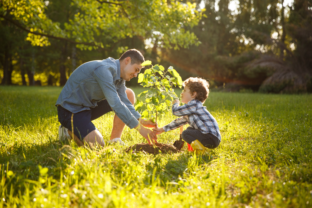An adult and a young child kneel together on green grass in a sunlit park, working side by side to plant a small tree sapling, surrounded by lush trees and natural scenery.