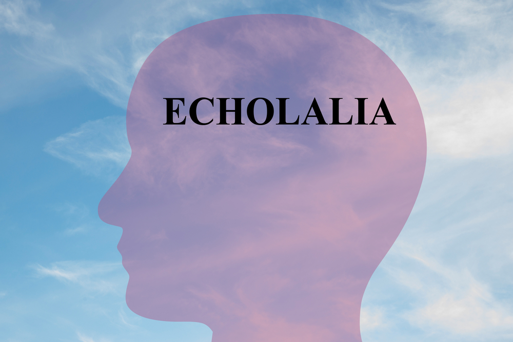 An outline of a human head with the word ‘echolalia’ printed in the brain, surrounded by blue sky and clouds.